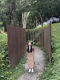 เที่ยวเชียงใหม่ฟิลธรรมชาติ Rachel coffee&community