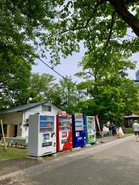 🌳 삿포로 나카지마 공원 산책기 🍃🐦🧺