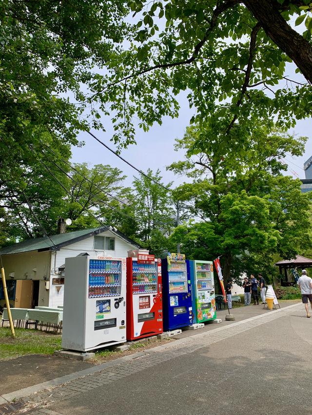🌳 삿포로 나카지마 공원 산책기 🍃🐦🧺