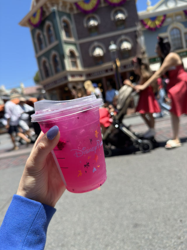【女一人旅】アナハイム　ディズニーランド