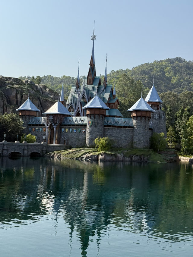 Disneyland in New Year 2025