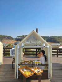 ์คํ์ธ๊ฐ์ฑ ๊ฐ๋ ํด์์ง๋๋ ํ์์ฌํ์ง๐