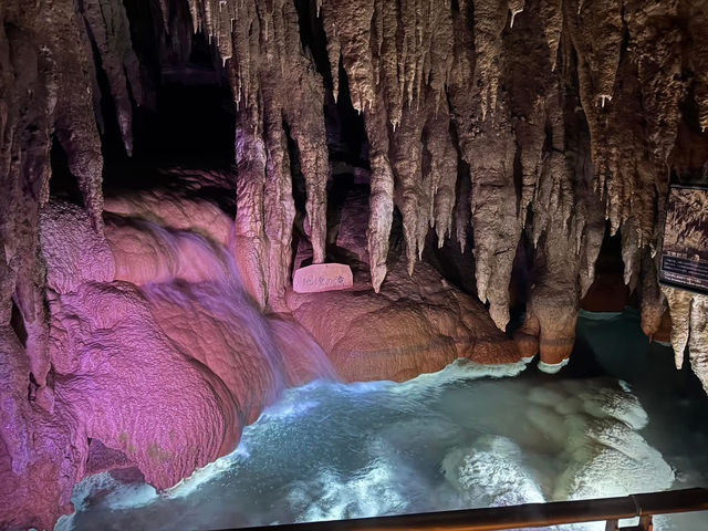 沖繩之旅 水族館 萬座毛 美國村 玉泉洞