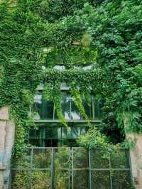 Hidden Citywalk Gem – Hangzhou Jingwei Tiandi Creative Park