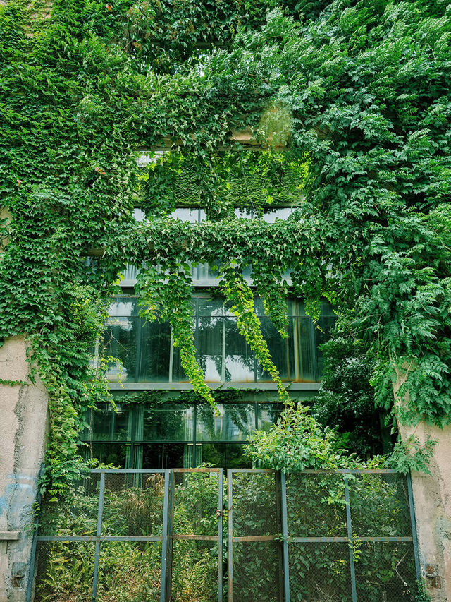 Hidden Citywalk Gem – Hangzhou Jingwei Tiandi Creative Park Hidden Citywalk Gem – Hangzhou Jingwei Tiandi Creative Park
