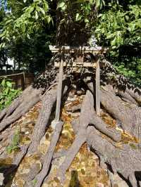 【大阪】 大鳥大社