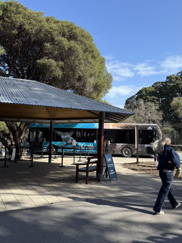 Rottnest island Paradise found ✨🌊🚴‍♀️ 