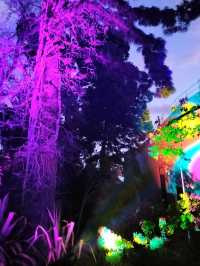 🎆Lightscape Part 1🎆