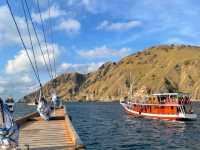 Gateway to Adventure: Labuan Bajo 🌴🐢