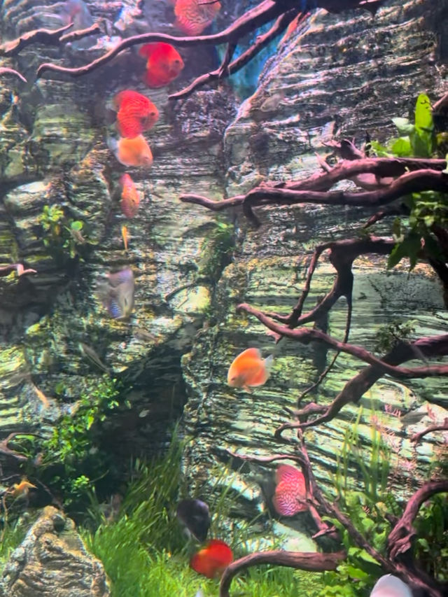 📍여수 핫플 아쿠아플라넷 탐방기🐠🖼️✨