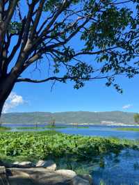 Where Mountains Meet the Sky – The Serenity of Erhai
