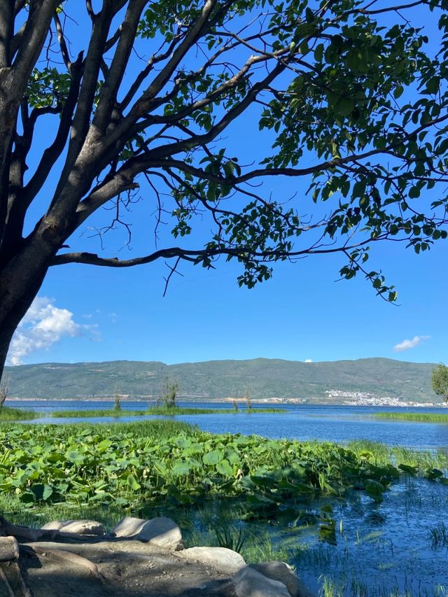 Where Mountains Meet the Sky – The Serenity of Erhai