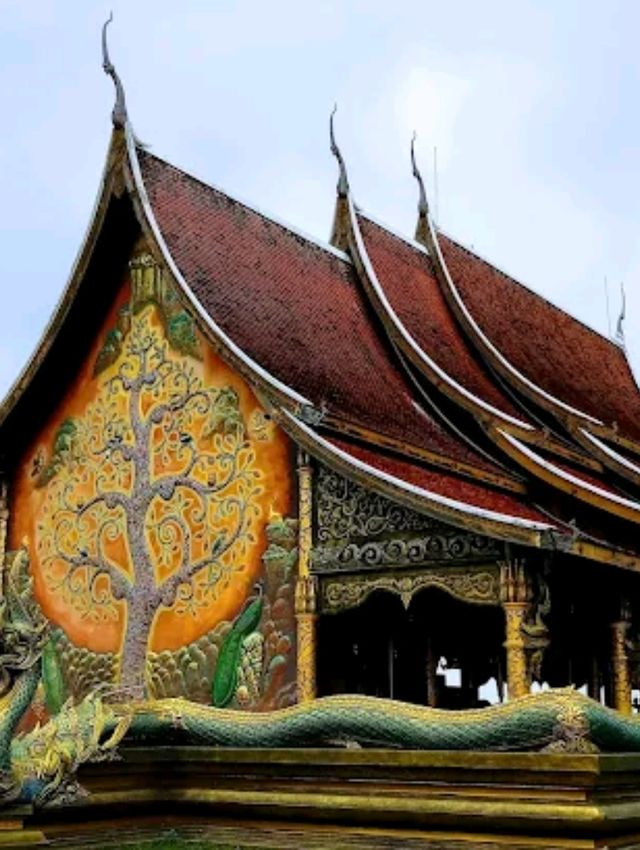🌺ชวนเที่ยว วัดพระธาตุหนองบัว
