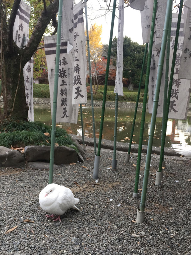 【鎌倉】絶景！マストで行きたい映える寺院と神社