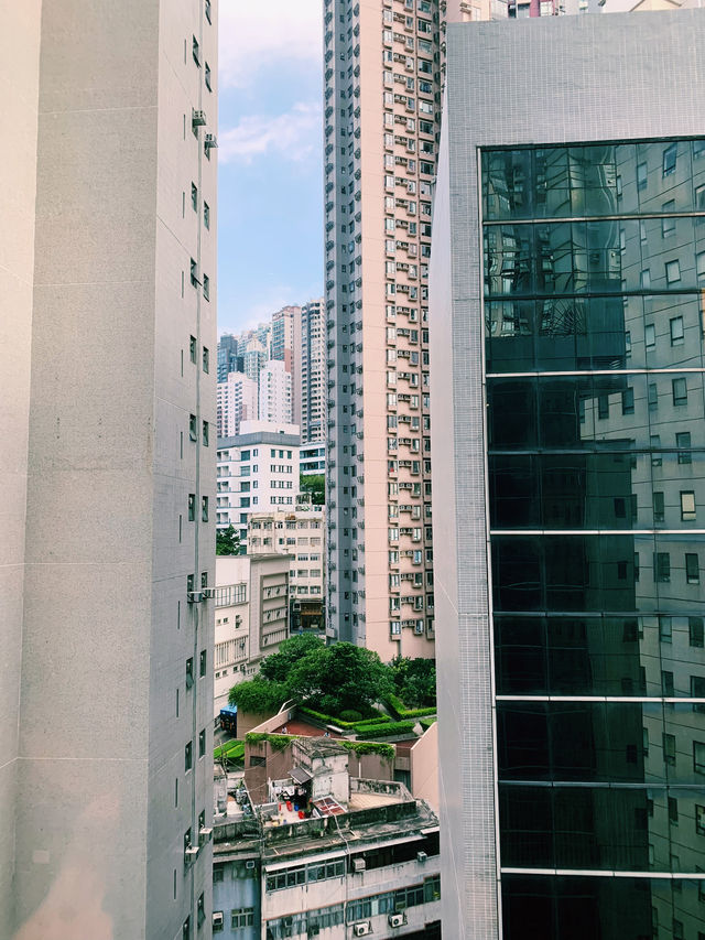 隠れ家のような都会のオアシス ― AKVO Hotel Hong Kong 隠れ家のような都会のオアシス ― AKVO Hotel Hong Kong