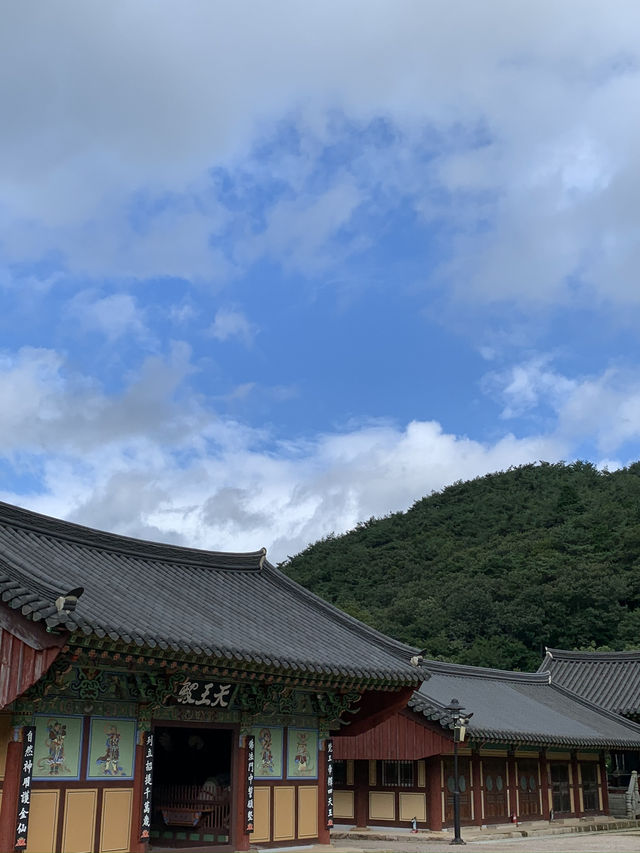 🌊 전남 1박 2일 여행 코스 추천