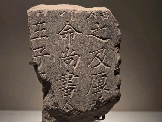 博物館裏的古文明探索🌟西夏陵博物館