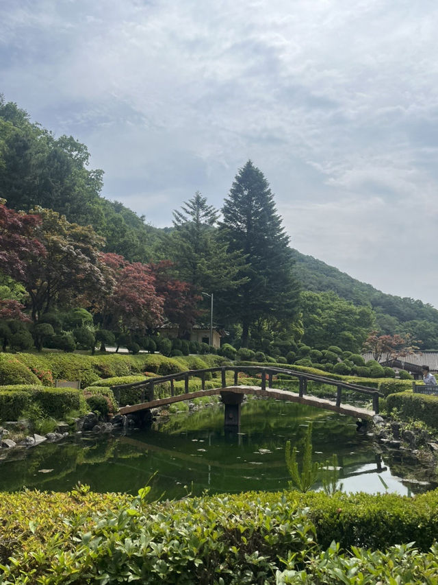 제천 1박 2일 여행 코스 추천 / 관광지, 맛집, 카페, 빵집