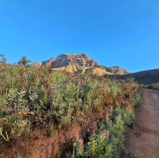 Helderberg Nature Reserve – A Haven of Fynbos and Mountain Scenery