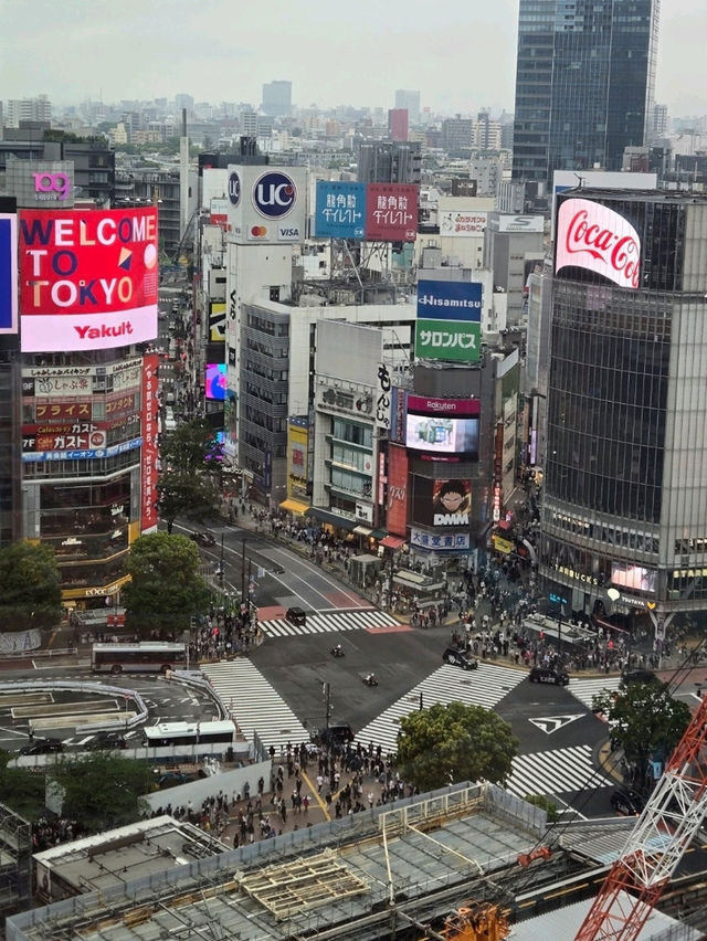 【東京澀谷】✨️感受「世界最繁忙」嘅十字路口✨️震撼 🎬💼