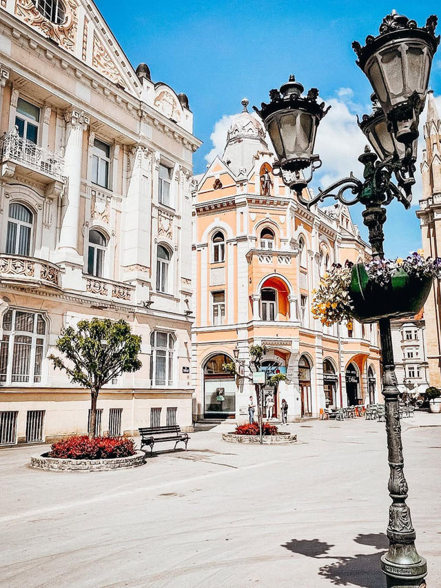 Exploring the Charm and Diversity of Vojvodina Exploring the Charm and Diversity of Vojvodina