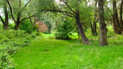 Undoubtedly a treasure of Logroño — traveler post in Logrono