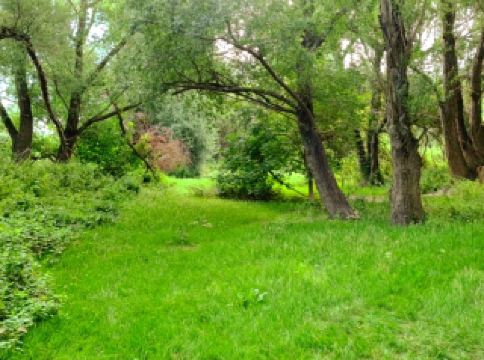 의심할 여지 없이 로그로뇨의 보물입니다.