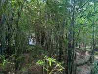 Hong Kong Zoological and Botanical Gardens