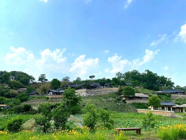 A Walk Through Time at Yangdong Folk Village
