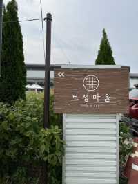 🌾 핑크빛 가을, 청주 토성마을 카페 산책 🌸