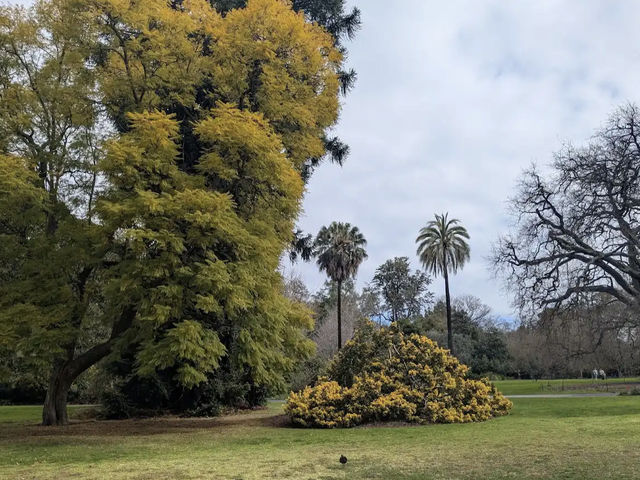 Royal Botanic Gardens Victoria - Melbourne Gardens