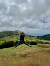 Escape to YangMingShan (QingTiangGang & LengShuiKeng) 🍃🌳