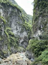 Tunnel of Nine Turns Trail – Nature’s Masterpiece in Hualien 