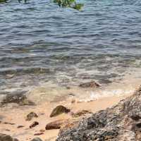 🚤 Bali Hai Pier – Gateway to Koh Larn & Island Adventures 🌴