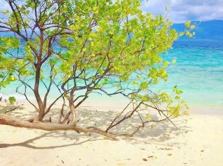 เกาะดิโก: สวรรค์ที่ซ่อนเร้นบนเกาะเลเต