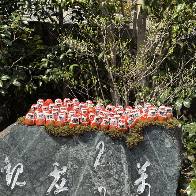 🎋✨ Katsuo-ji Temple – วัดดารุมะ (勝尾寺)