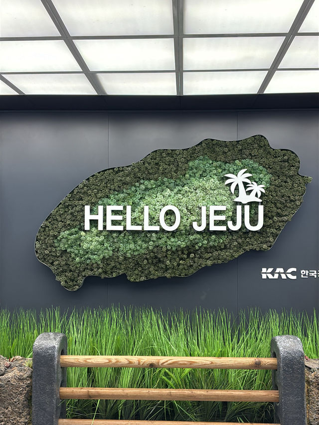 🌿 제주 여행 브이로그 감성으로 — “제주 가면 여기 무조건!”