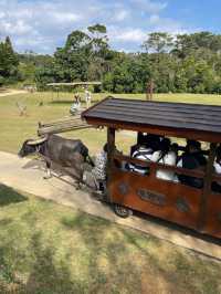 【沖縄】ビオスの丘