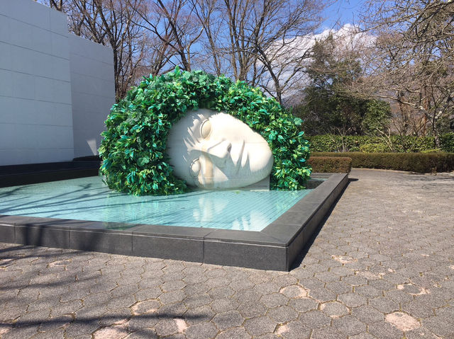 【神奈川】　箱根日帰り旅　初めていくならココ選べ！！！