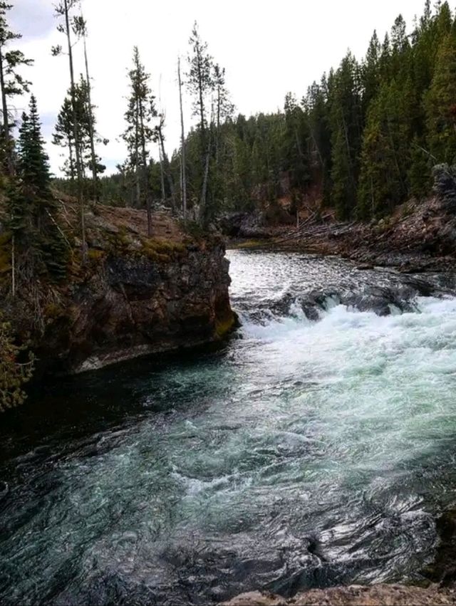 🌋 Yellowstone National Park – The Wild Heart of America