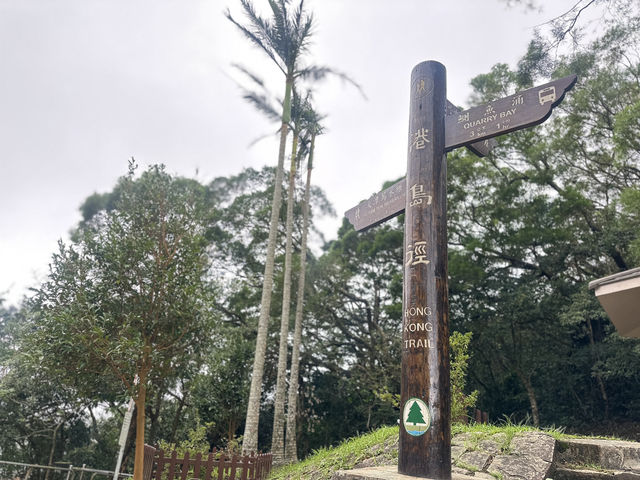 🏞️ 太古後花園： 柏架山道自然徑的綠色旅程