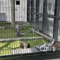 北海道旭川市旭山動物園