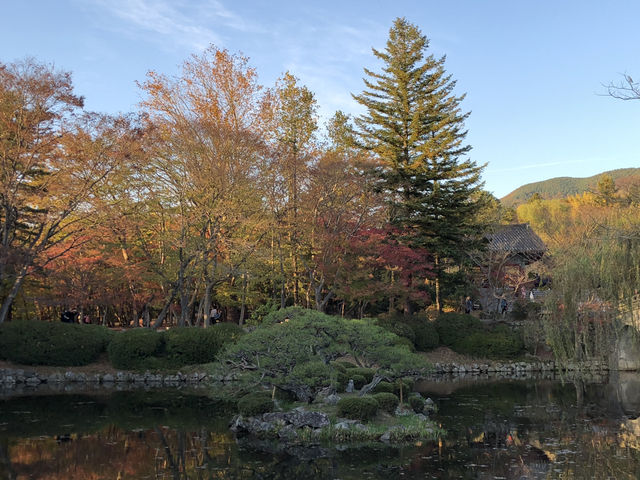 🕊️ 경주, 불국사와 석굴암에서 만난 신비로운 역사