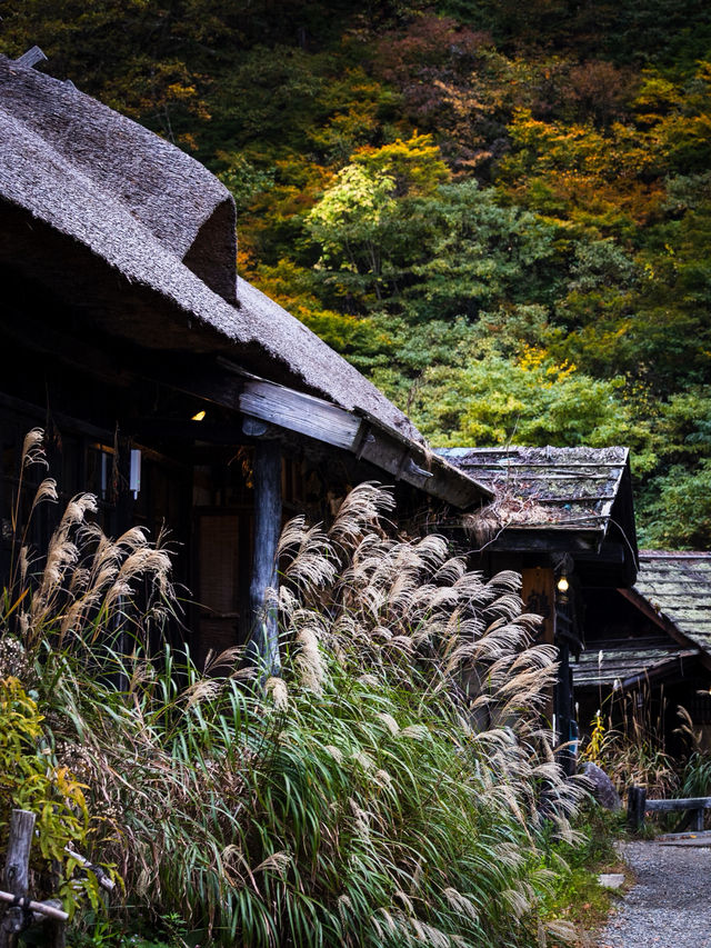 Tsuru-no-yu – สถานที่ที่เราแวะมาเยือนแม้ไม่ได้พัก