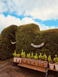 Beautiful Greenery and Refreshing Air