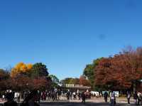 🍁ชมฤดูใบไม้เปลี่ยนสีที่อุเอโนะ (Ueno Park)