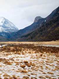 ⛰️ : Luorong Cattle Farm , Yading เที่ยวจีน