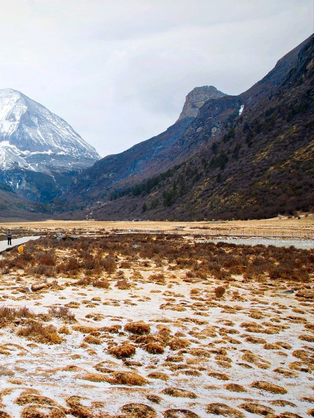 ⛰️ : Luorong Cattle Farm , Yading เที่ยวจีน ⛰️ : Luorong Cattle Farm , Yading เที่ยวจีน
