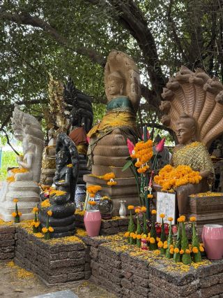 🌊🐉 พร้อมพลังความเชื่อที่เกาะดอนโพธิ์ 🌿✨