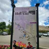 Waterfall Views & Foodie Dreams: Chom Thong’s Must-Try Eats 🇹🇭🌄